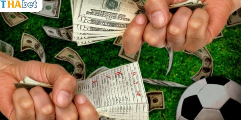 Cách đánh kèo rung hiệu quả tại Thabet